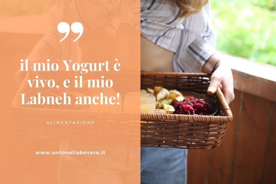 Il mio yogurt è vivo, e il mio Labneh anche! - Dott.ssa Antonella